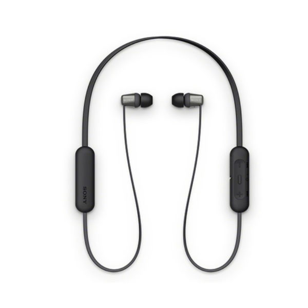 Sony WI-C310