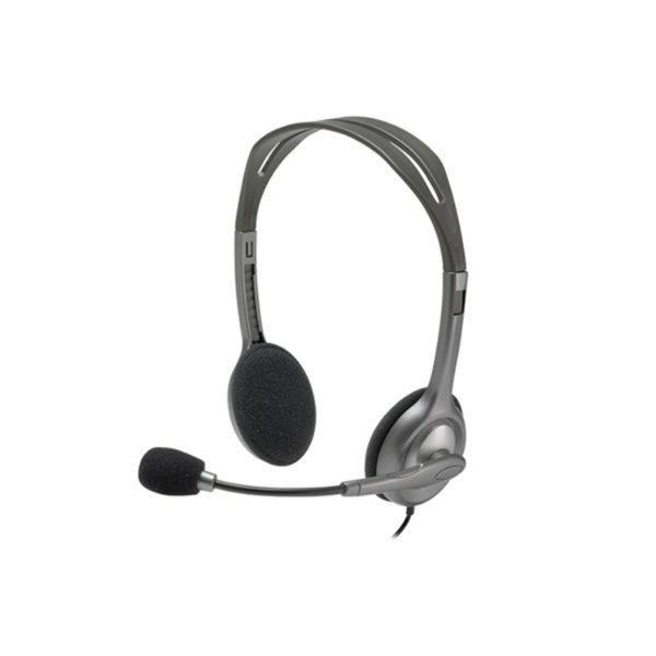 Logitech H110 Stereo Headset with Mic
