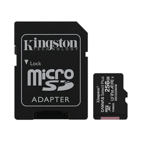 Kingston Micro SD 256GB