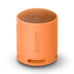 Sony SRS-XB100 Portable Wireless Speaker