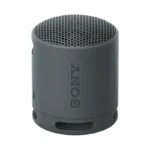 Sony SRS-XB100 Portable Wireless Speaker