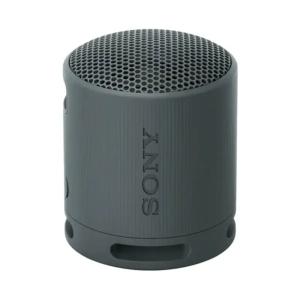 Sony SRS-XB100 Portable Wireless Speaker